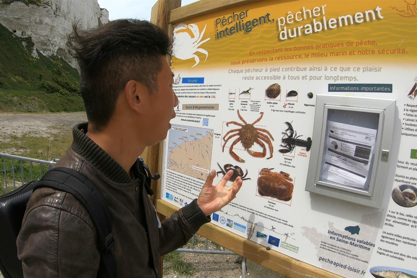 中国小伙的航海日记（十二）法国诺曼底，“蚝中之王”竟如此便宜