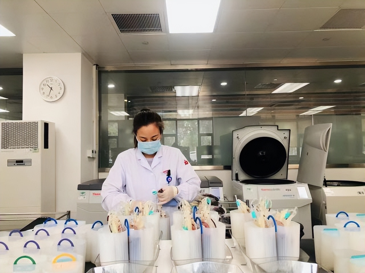 百万分之一的罕见疾病,p型血白血病