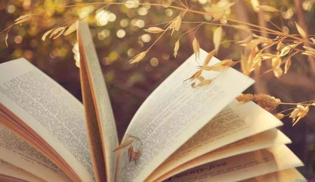 新手小白做自媒体20天的收益如何,一篇文章收益达到100