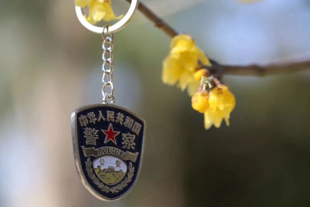 听“青春”！今天循环*放播**这几首......