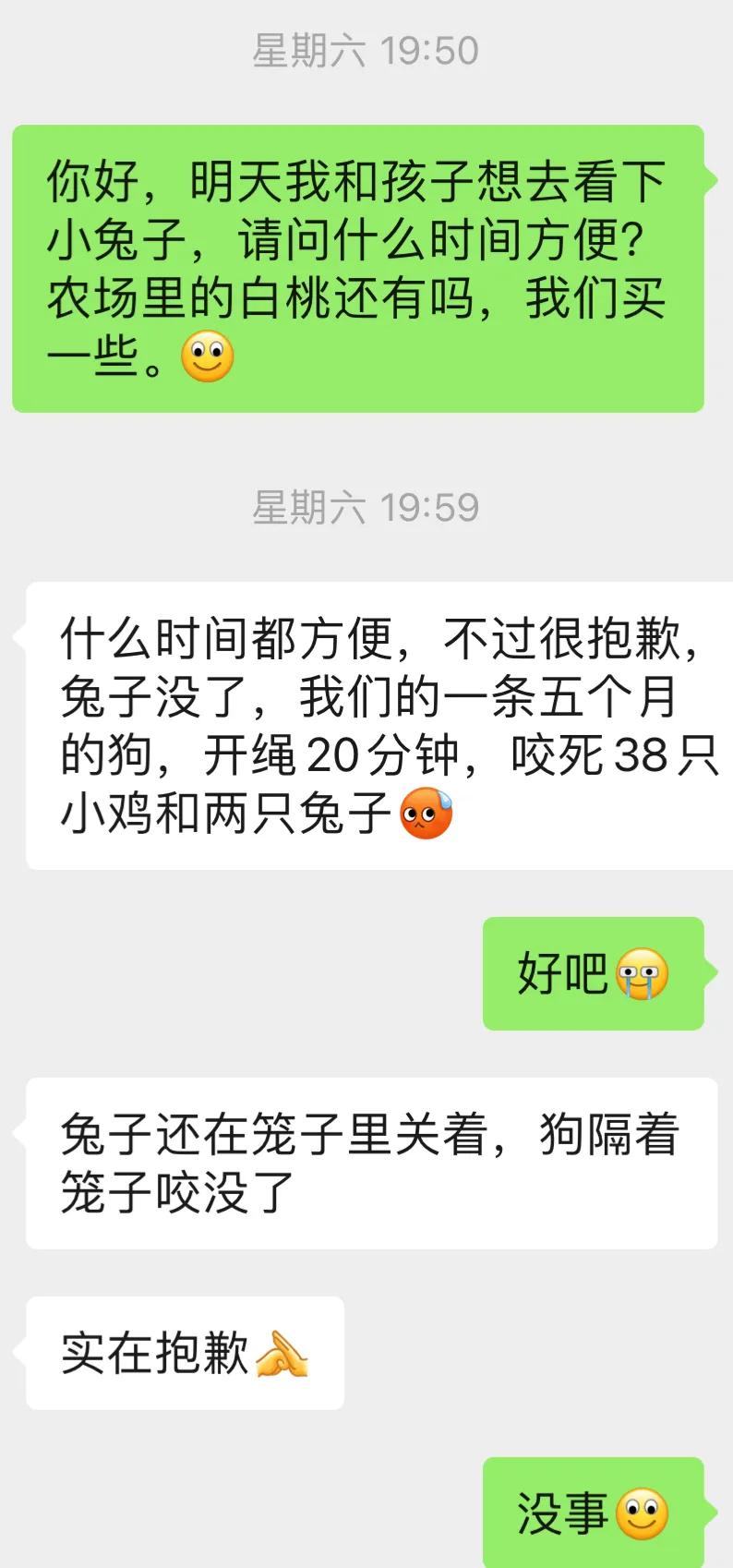 刚买的小兔子要死亡怎么办,自己家养的小兔子死了怎么办