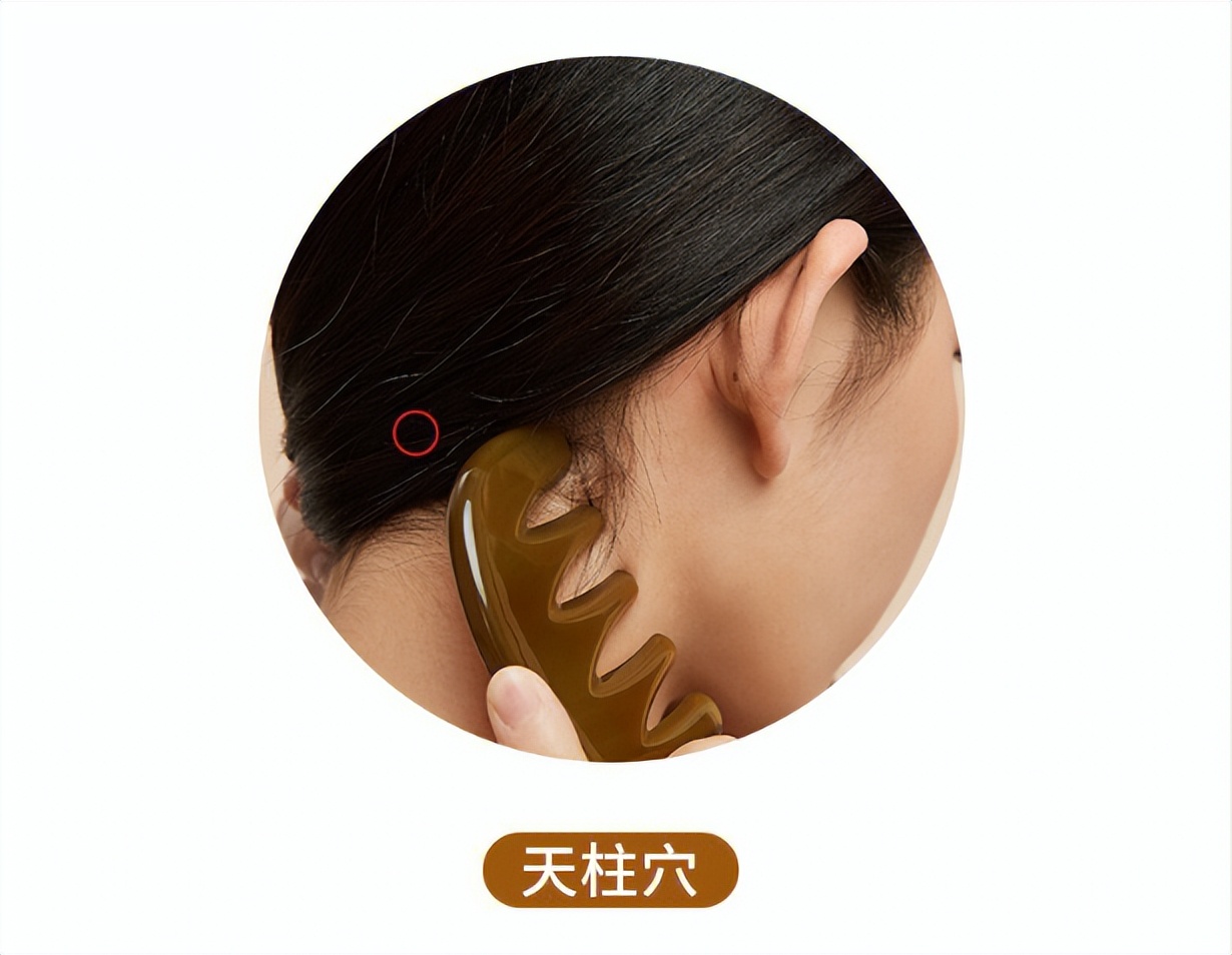 产后防脱发的洗发水有哪些,产后防脱发洗发水真实有效