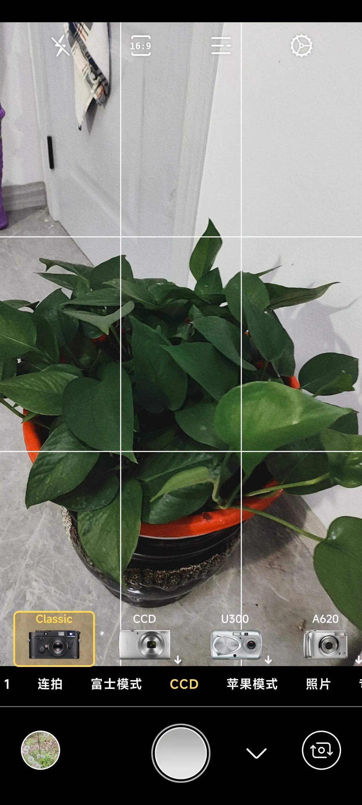 免费拍照翻译软件app下载,可拍照识别植物的免费软件