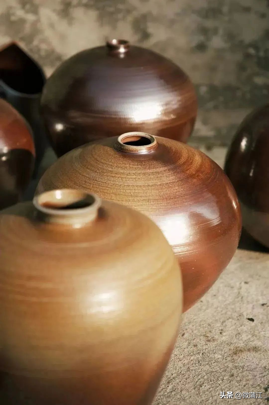 成都市全面推进乡村振兴意见建议,蒲江县乡村振兴