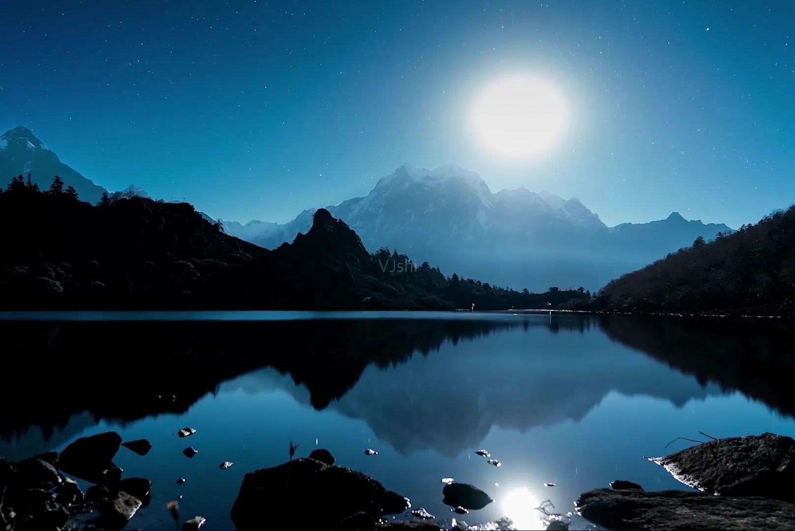 长生劫四象灵牌,长生劫四象灵牌怎么选