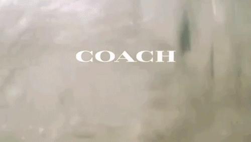 coach包哪款最经典百搭,coach最畅销款