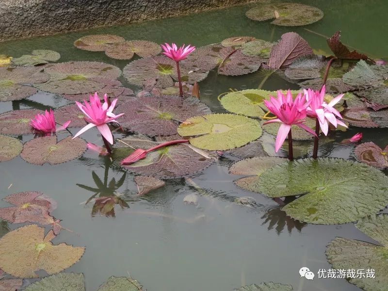 往事130珠海石景山公园