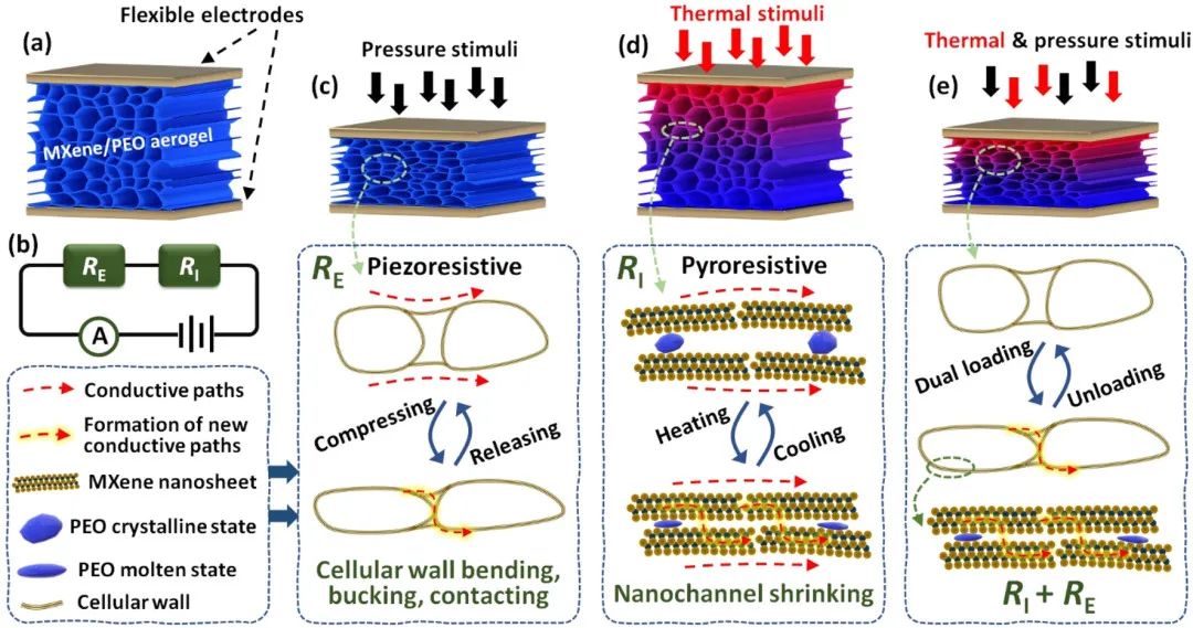 特考韦瑞和布林西多福韦,特考韦瑞和更昔洛