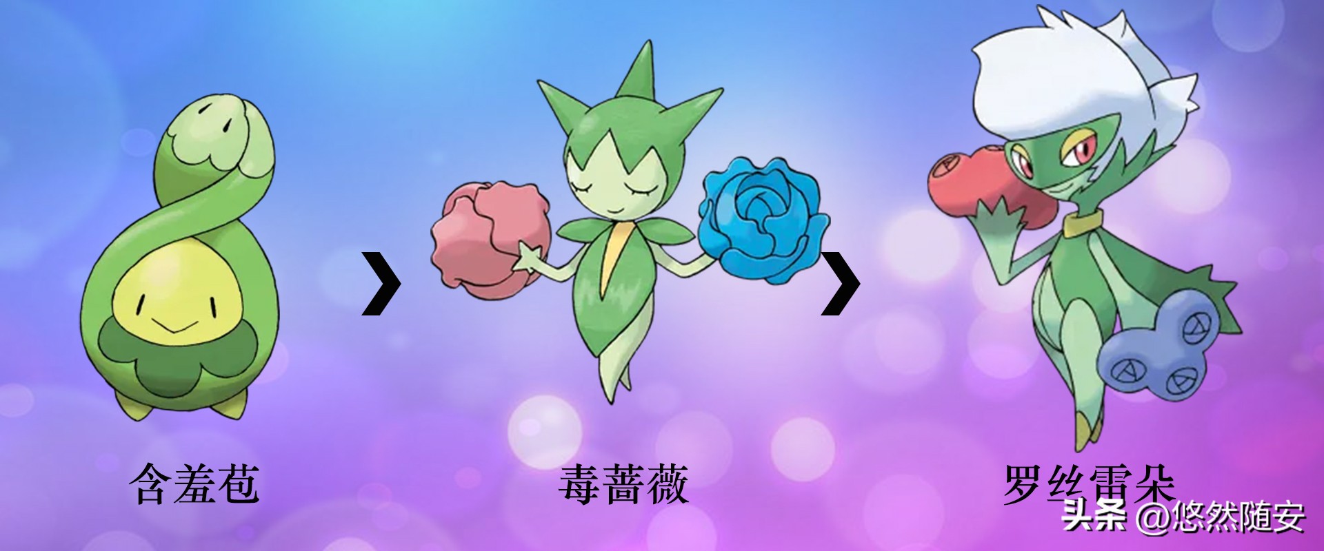 宝可梦进化形态,神奇宝可梦伊布进化形态