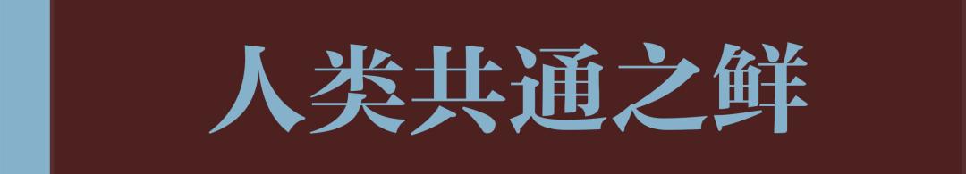 鱼露现代酿造,鱼露韩语怎么说