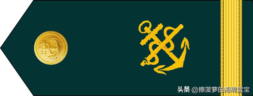 二战德国国防军医疗兵军衔标志