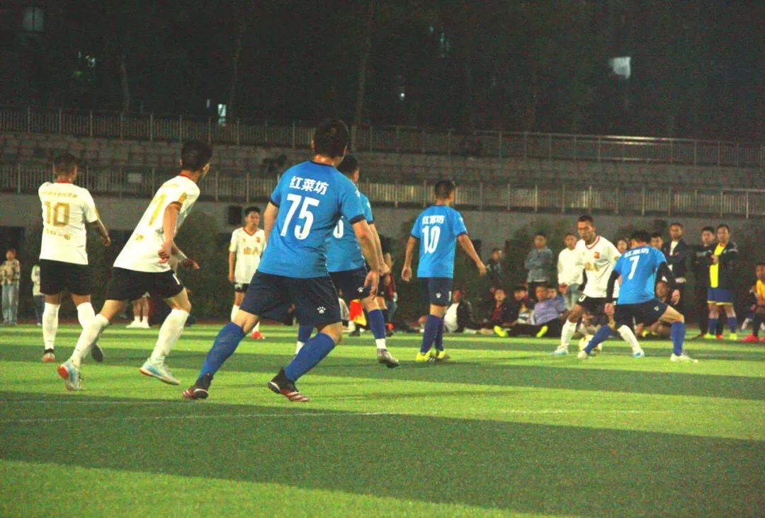 蓝山八人制足球联赛,蓝山县足球联赛