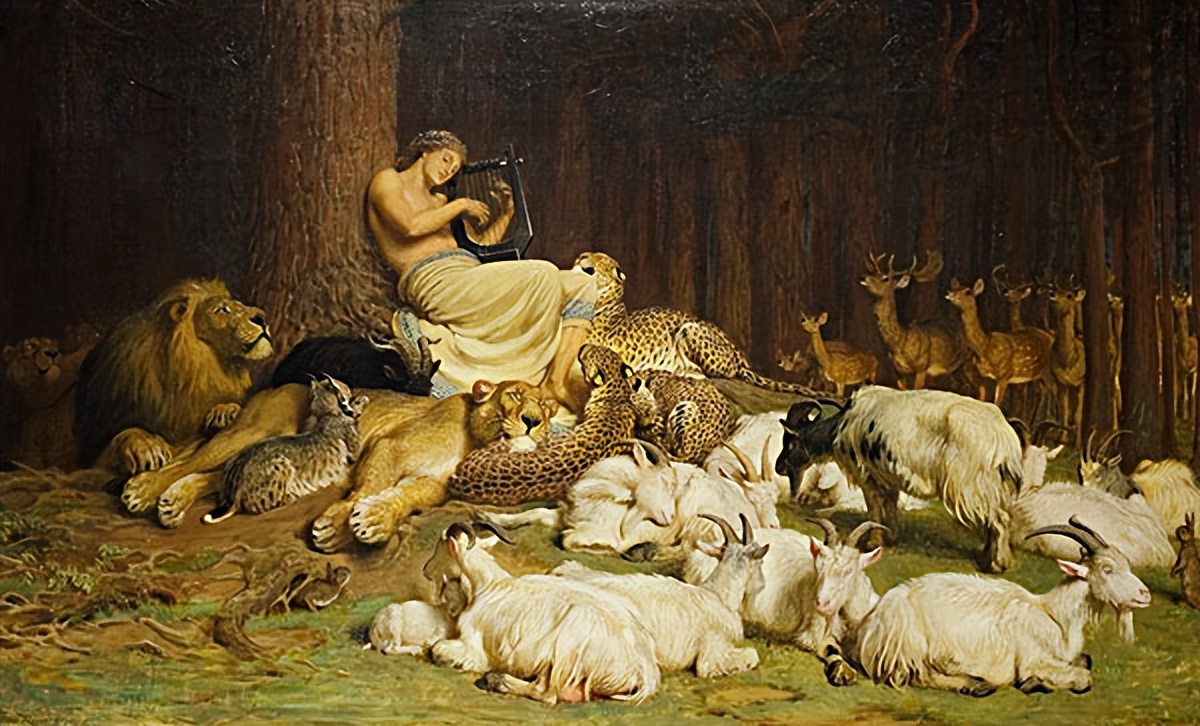 阿波罗有什么精神值得我们学习,阿波罗的作用和功能