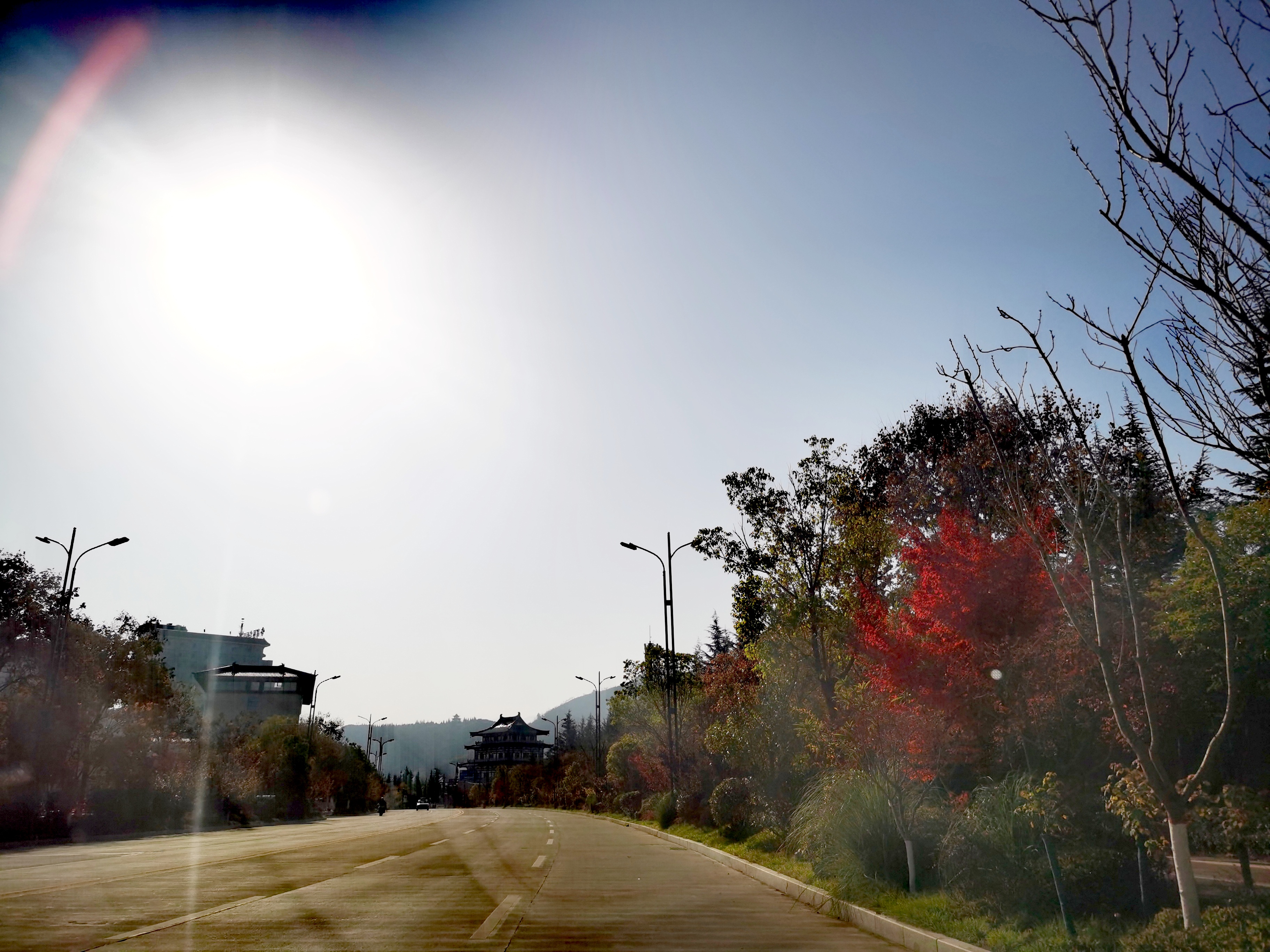 绽放巴黎在哪儿看,2022世界杯看球最好的位置