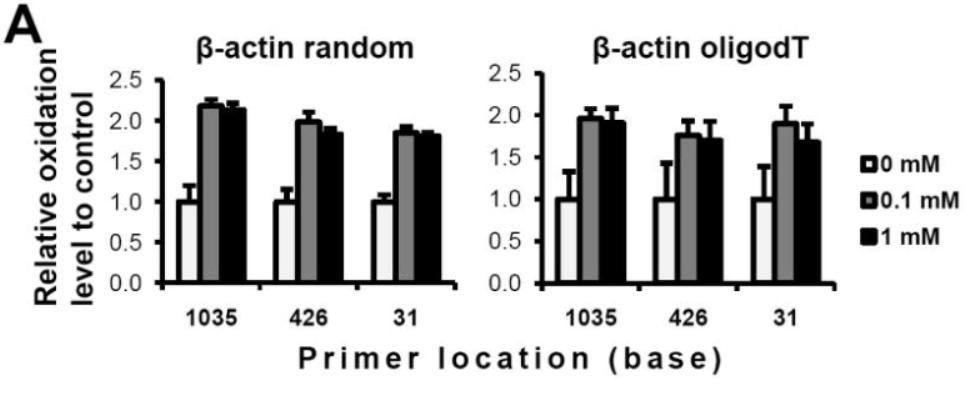 血红素蛋白结构与功能,血红素蛋白的作用效果