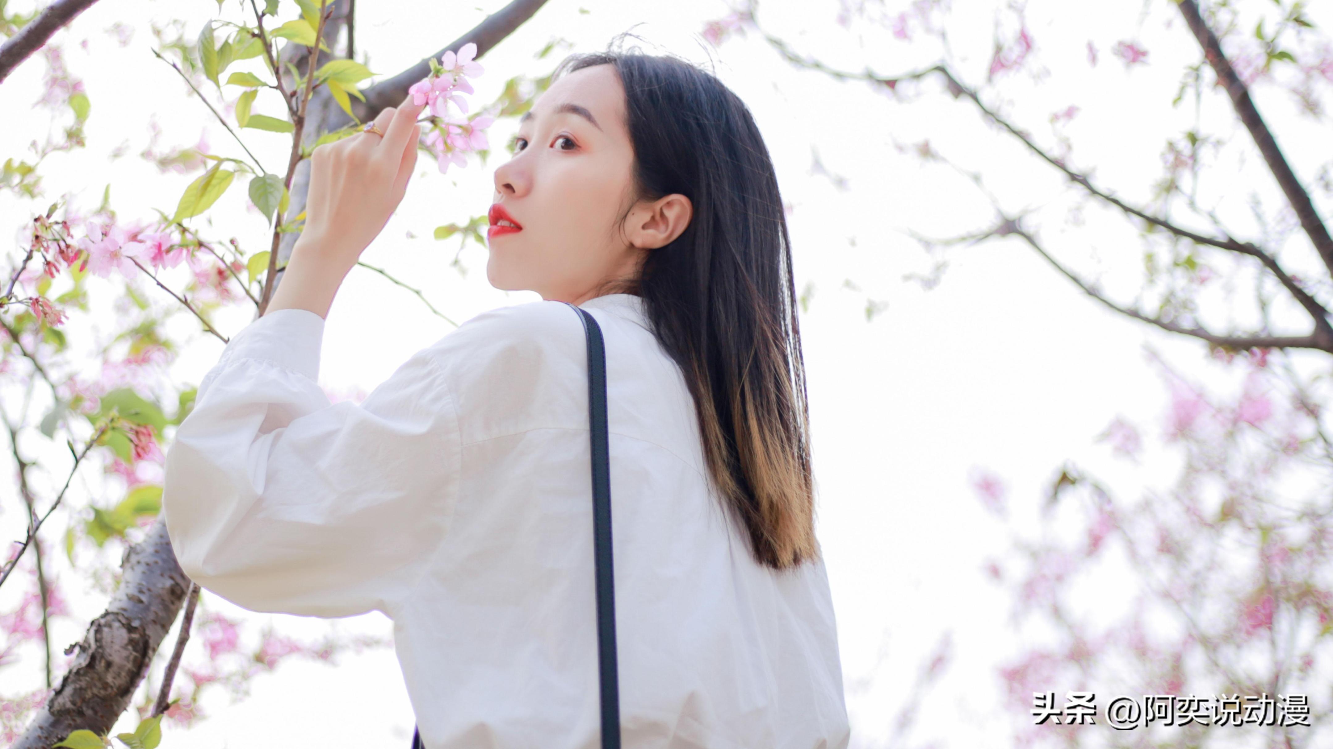 白羊男和十二星座配对几率,十二星座情侣配对图表白羊