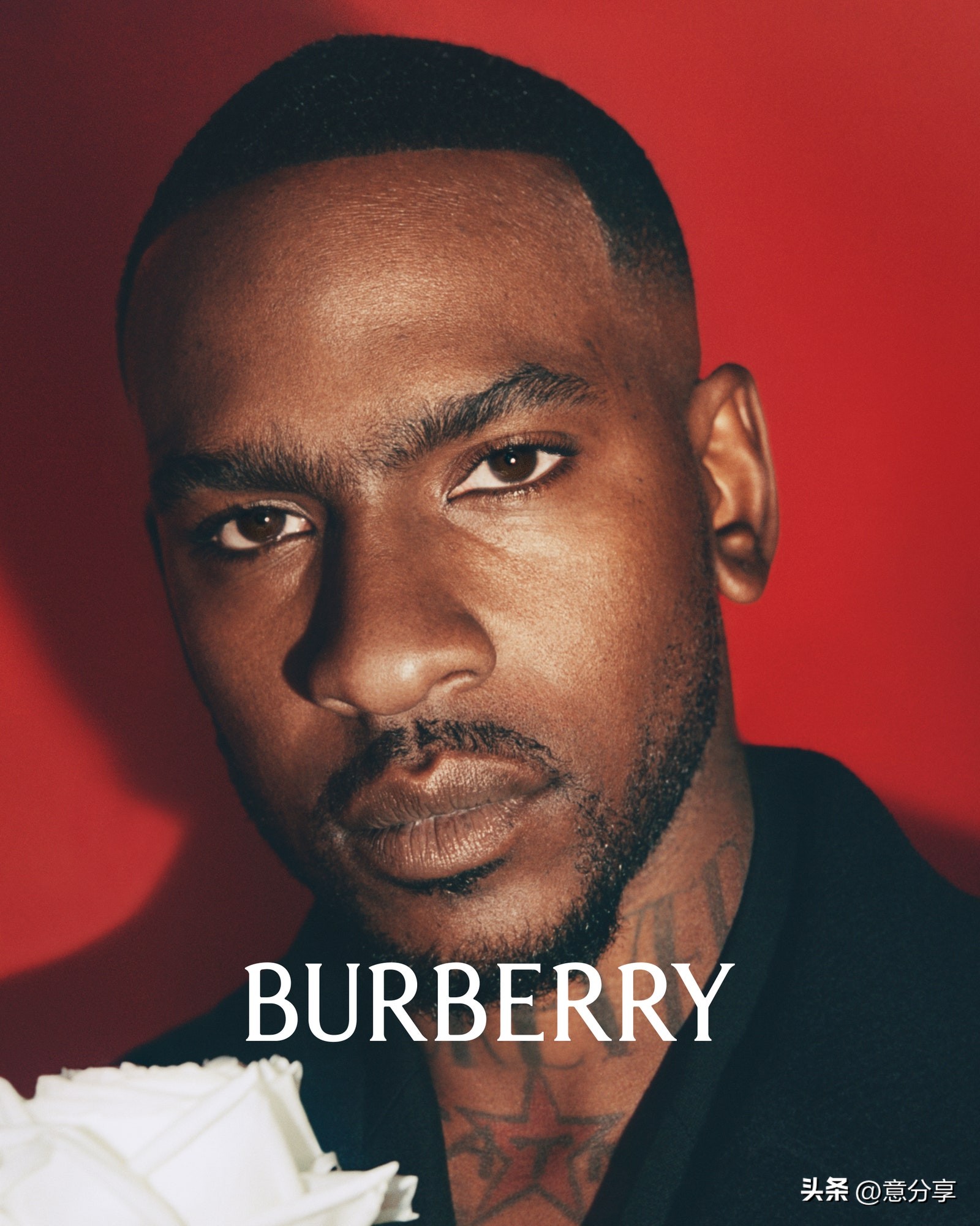 burberry2019广告,burberry高清广告