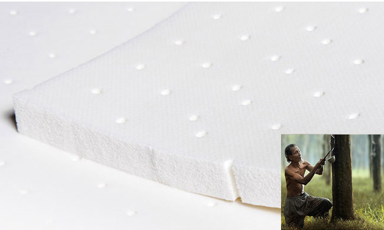 椰棕床垫加棉还是加乳胶好,弹簧床垫加棕好还是纯弹簧的好