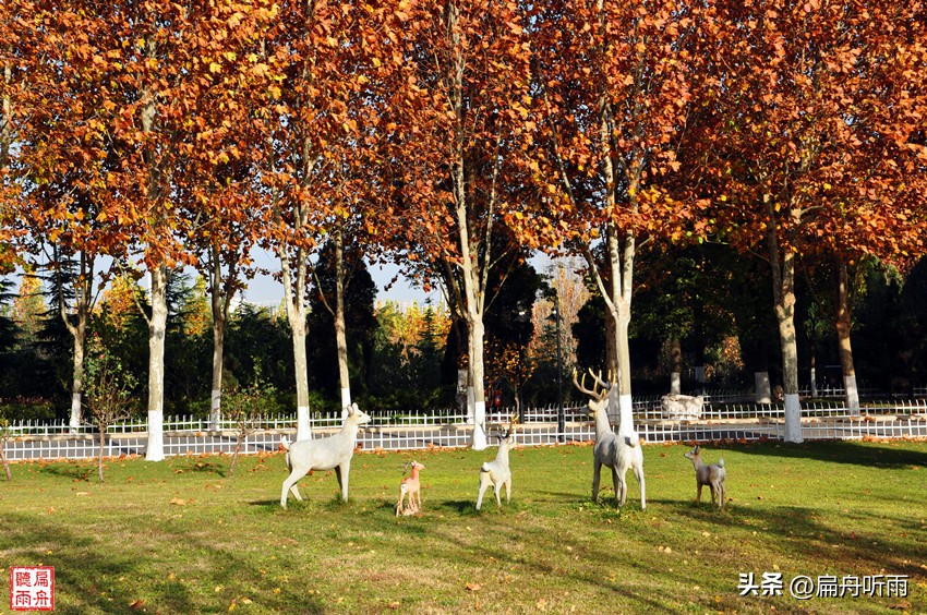 7月郑州凉快遛娃公园排行榜,郑州龙子湖避暑遛娃的地方