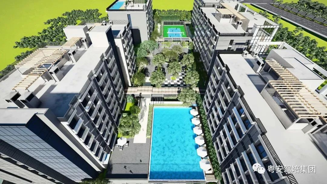 粤安驾校南沙横沥,粤安驾校荔湾