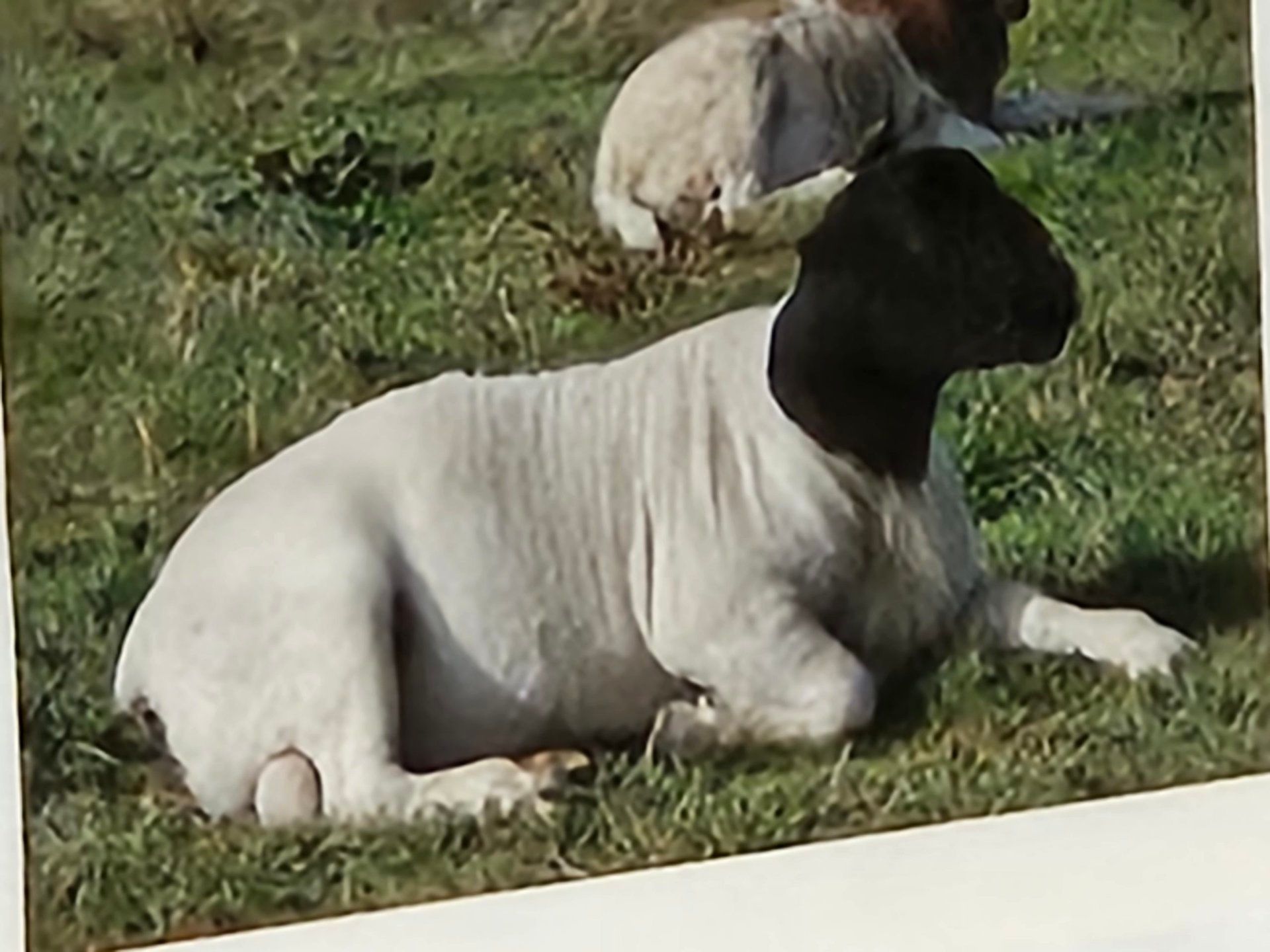 三星galaxys23深度评测王者,三星galaxys23全系评测