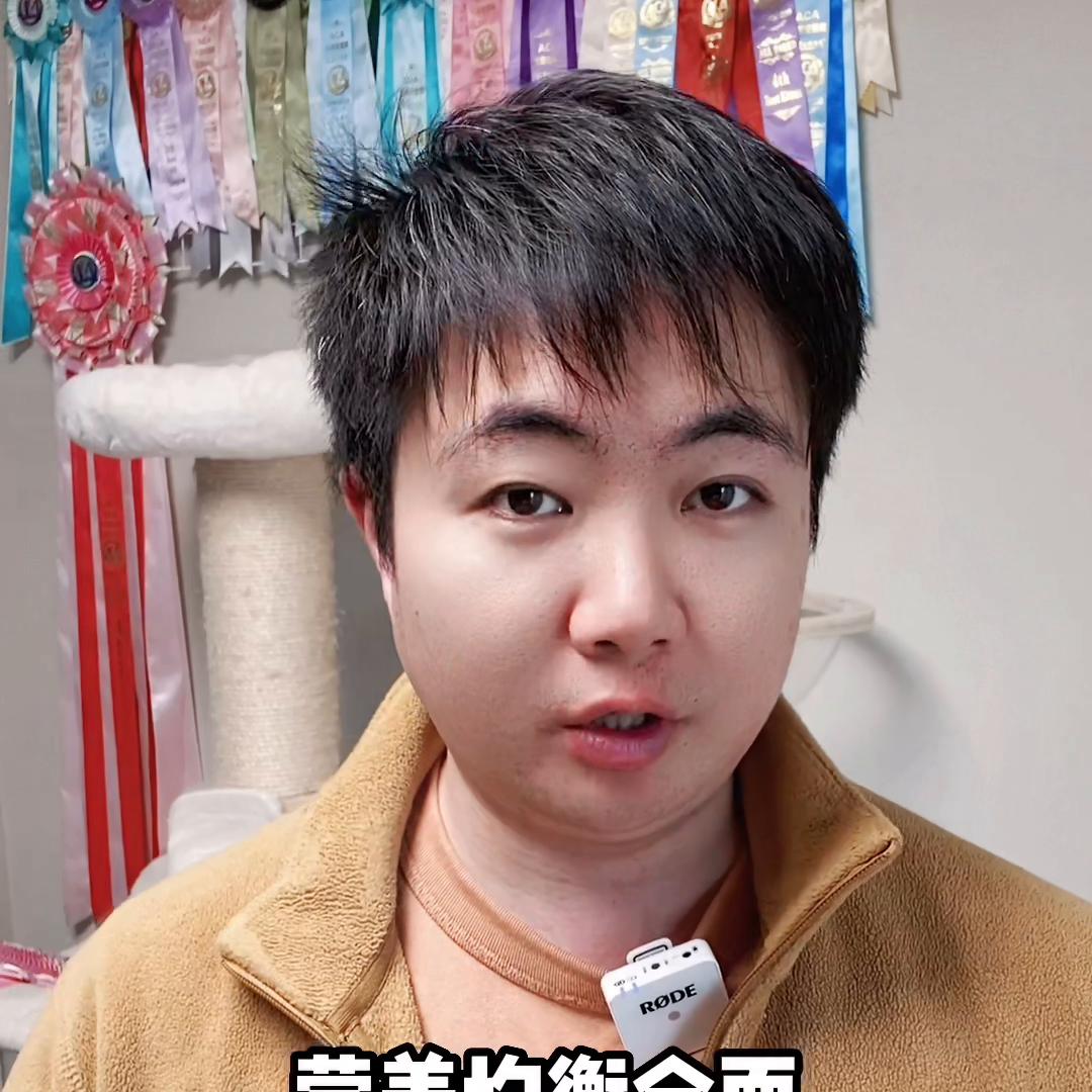 养猫人买猫粮遇到的问题,养猫选粮真伤脑筋