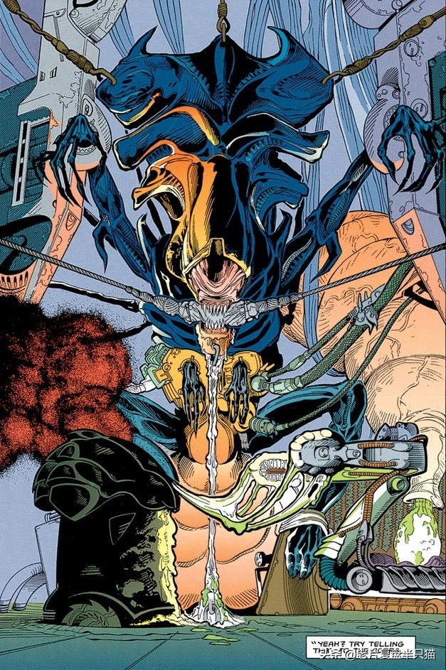 铁血战士铁血异形有多强,铁血战士铁血异形顺序