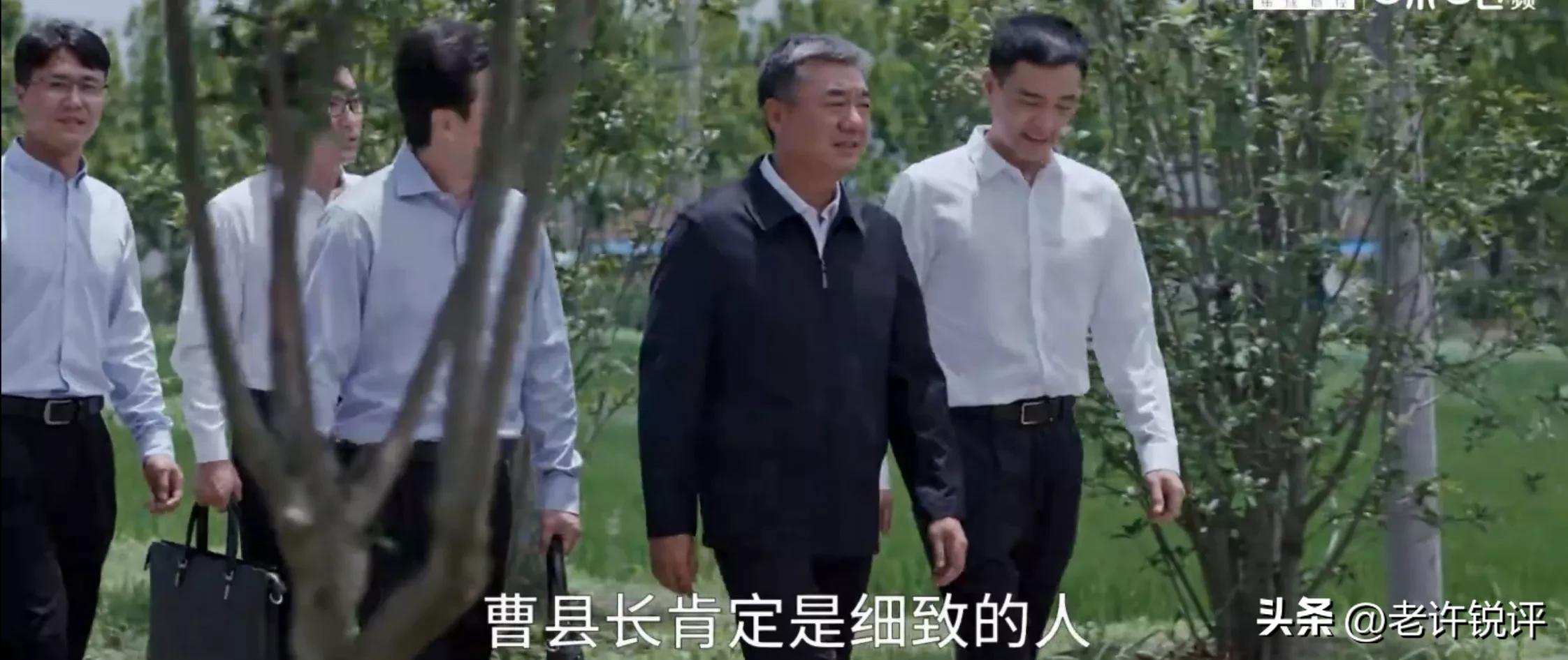 县委大院第1-30集解析,县委大院第八集深度理解