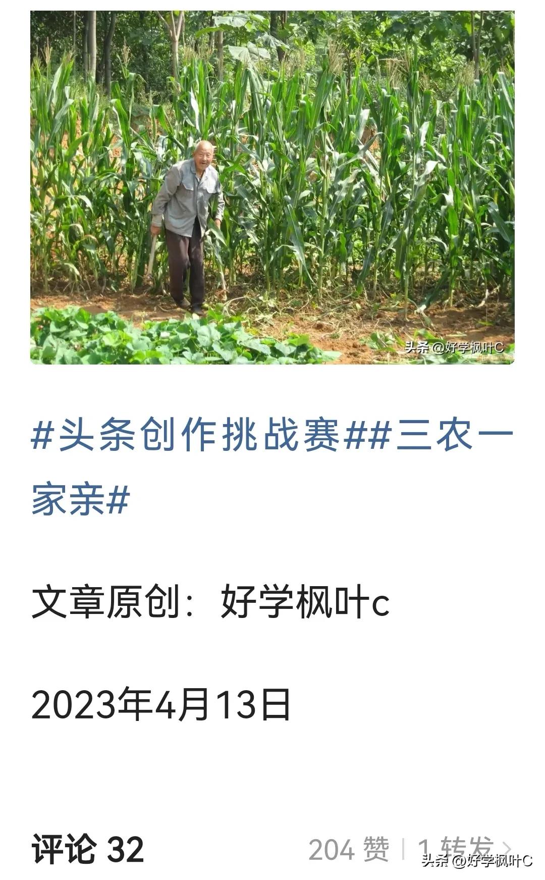 可恶的抄袭文章,可恶的论文