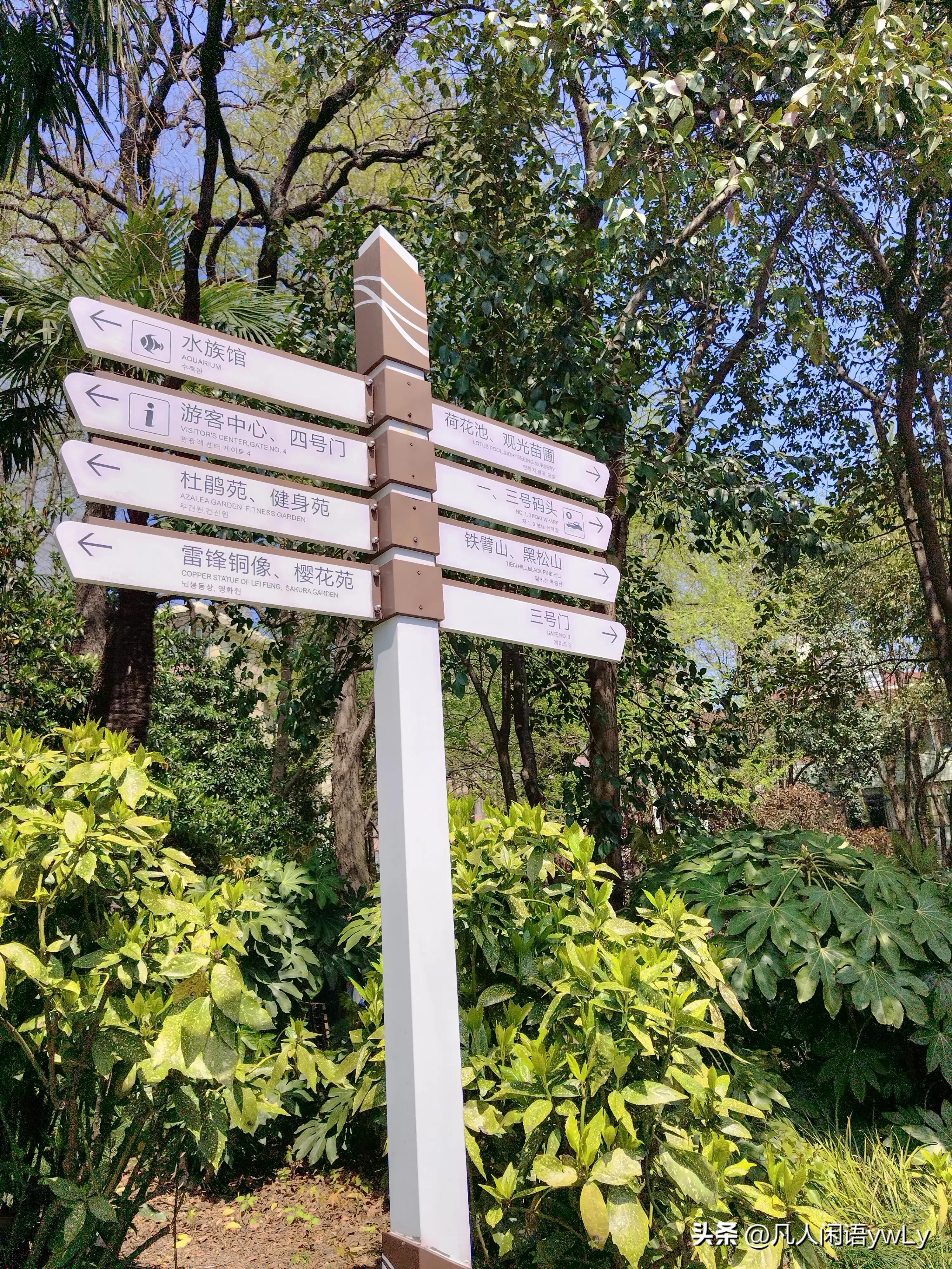 一个人的微春游,一个人的小旅行