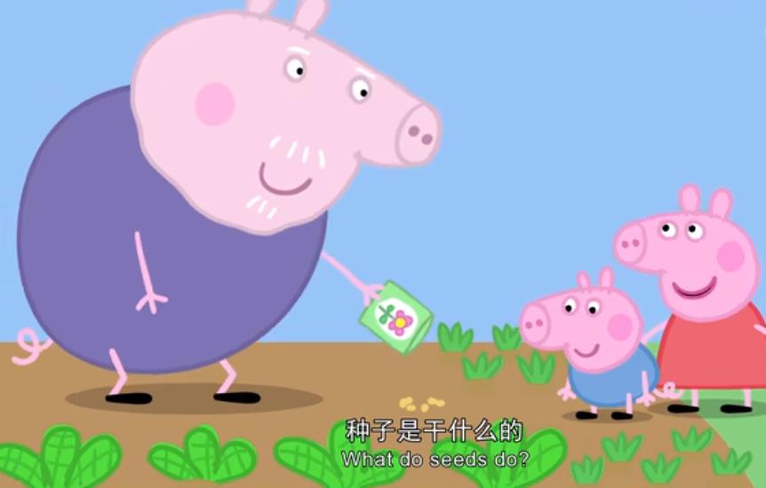 跟小猪佩奇学字母,小猪佩奇花园种菜英语