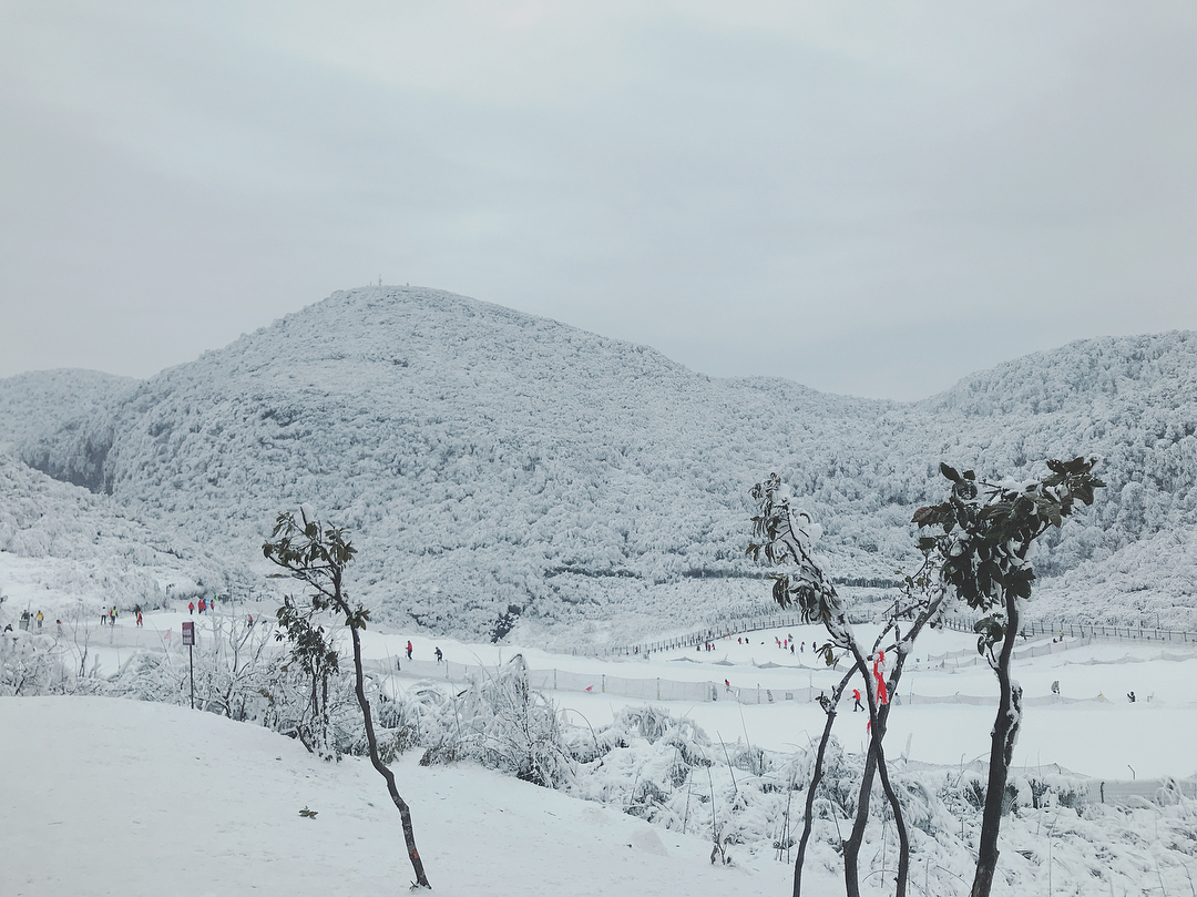金佛山仙女山南天湖哪个玩雪更好,最近金佛山下雪了吗