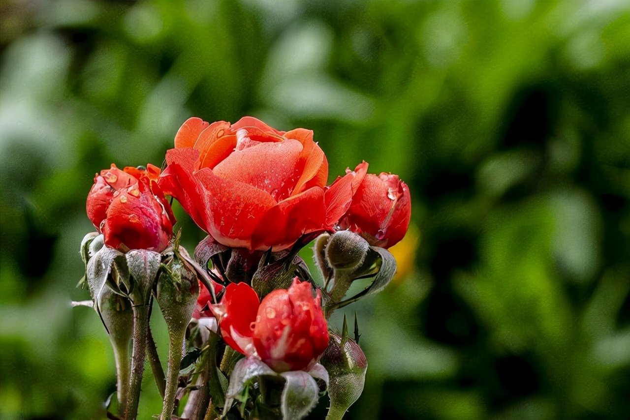 面善心黑的人不值得去深交,经常把三句话挂在嘴上的人