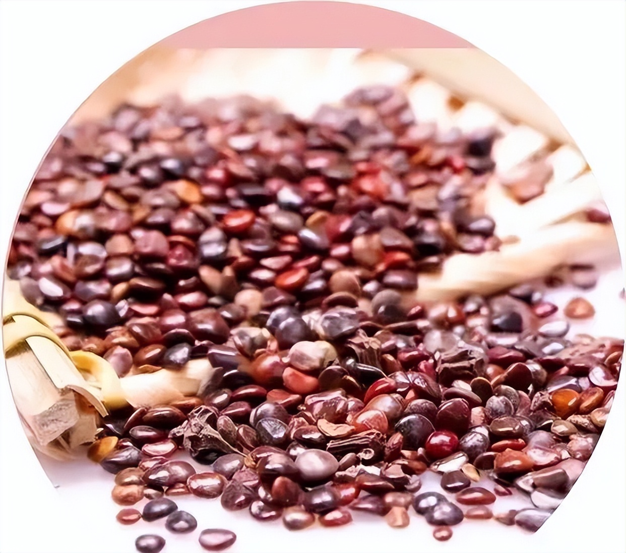 葛根枳椇软胶囊解酒药,葛根枳椇解酒药管用不