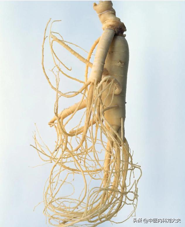 口腔溃疡反复，是脾胃虚弱的表现，教你一个中药方，拯救口腔溃疡