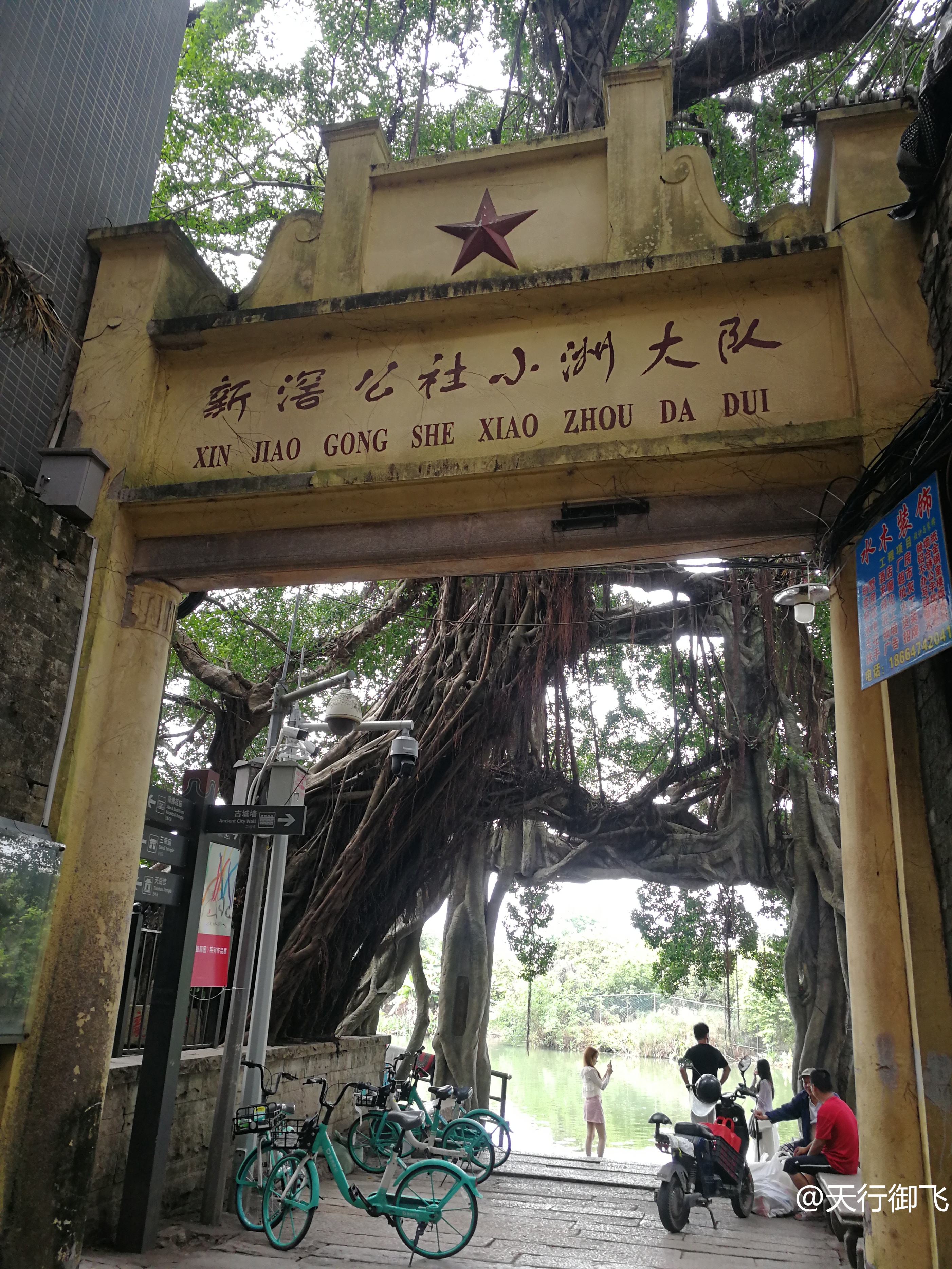 小洲村旅游景点地图,小洲村一日游最佳攻略