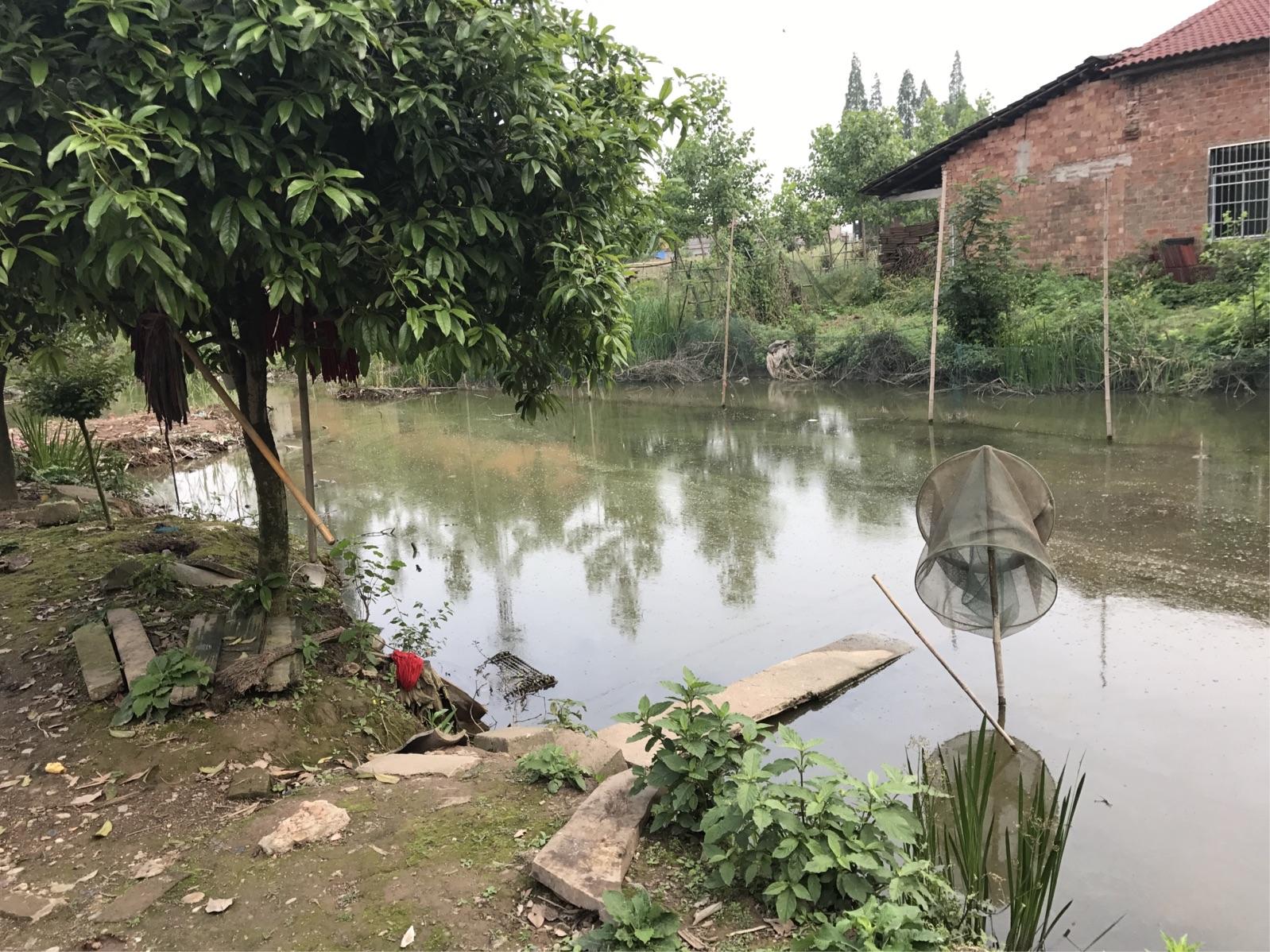 17年湖南小伙咳嗽不止，以为普通感冒，去医院检查后父母相继跳河