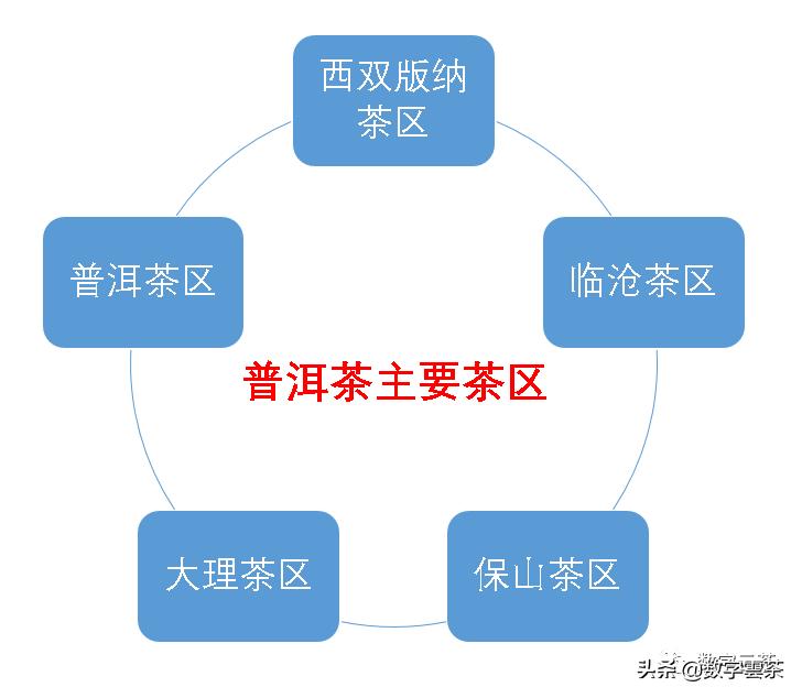 西双版纳普洱茶区,探秘普洱茶的天堂西双版纳
