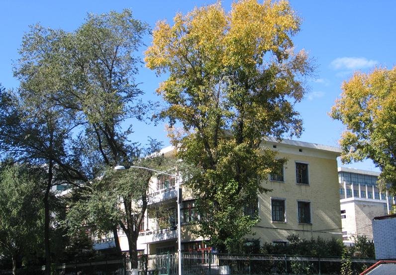 哈尔滨工业大学威海校区值得报吗,哈尔滨工业大学深圳和威海校区