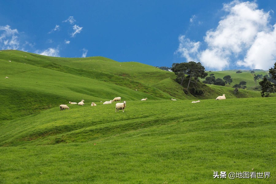 新西兰国家基本常识,关于新西兰的五十个真相