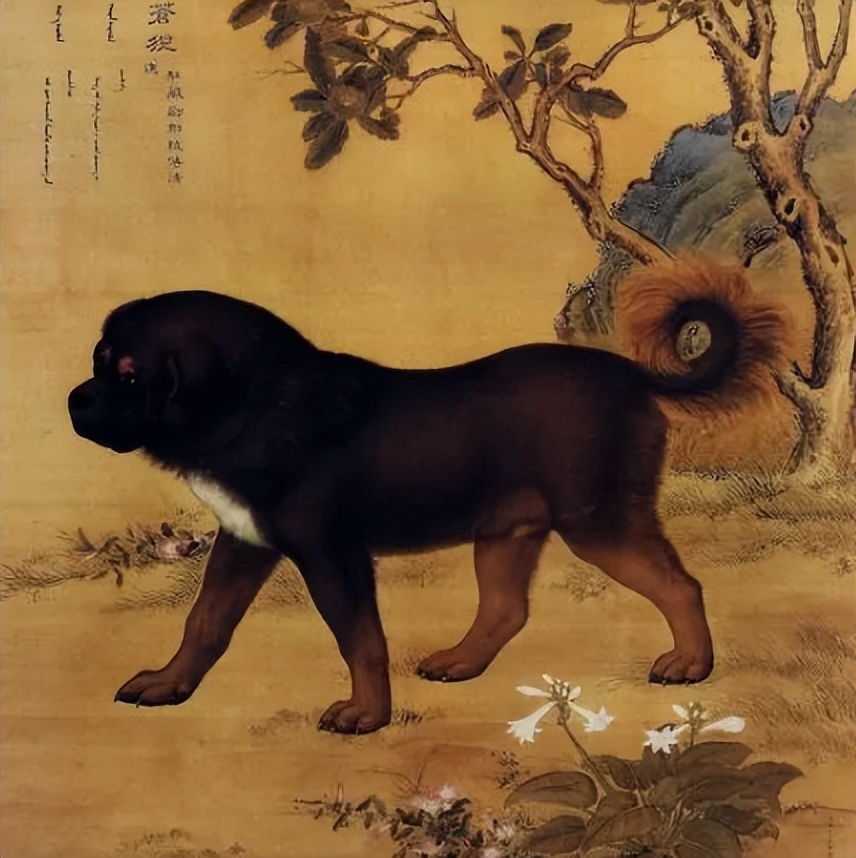 俗语：“家有三声叫，灾祸要来到”，是哪三声？可信吗？