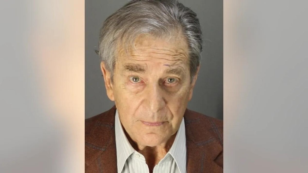 保罗佩洛西遇袭,保罗佩洛西近况