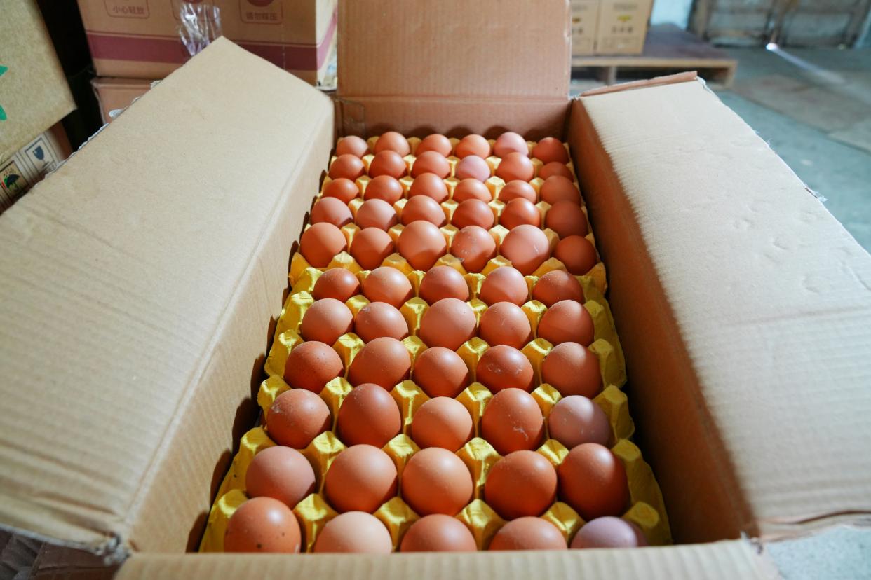 建德刀笃菜,倒笃菜是建德非遗吗