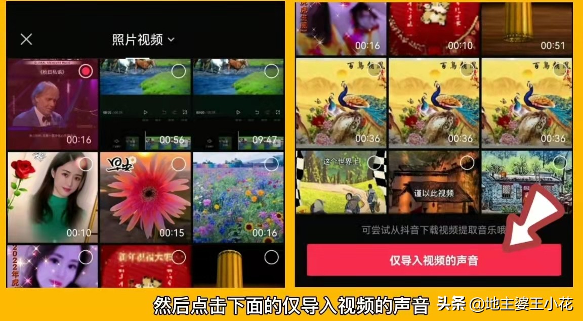 各种小花背景音乐,小花视频背景音乐