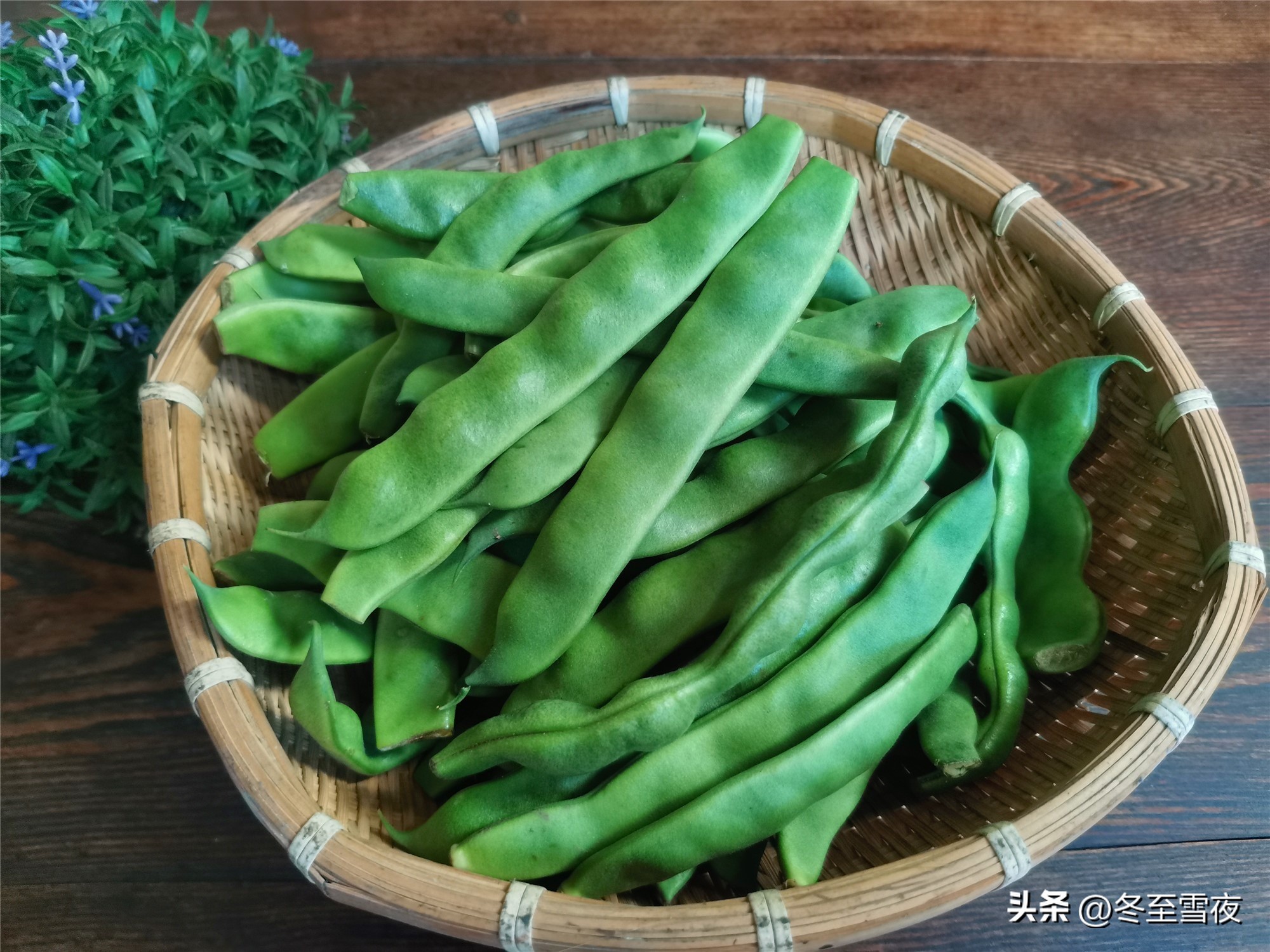 秋季豆角怎样保存到冬天还可以吃,秋天遇到此菜别错过