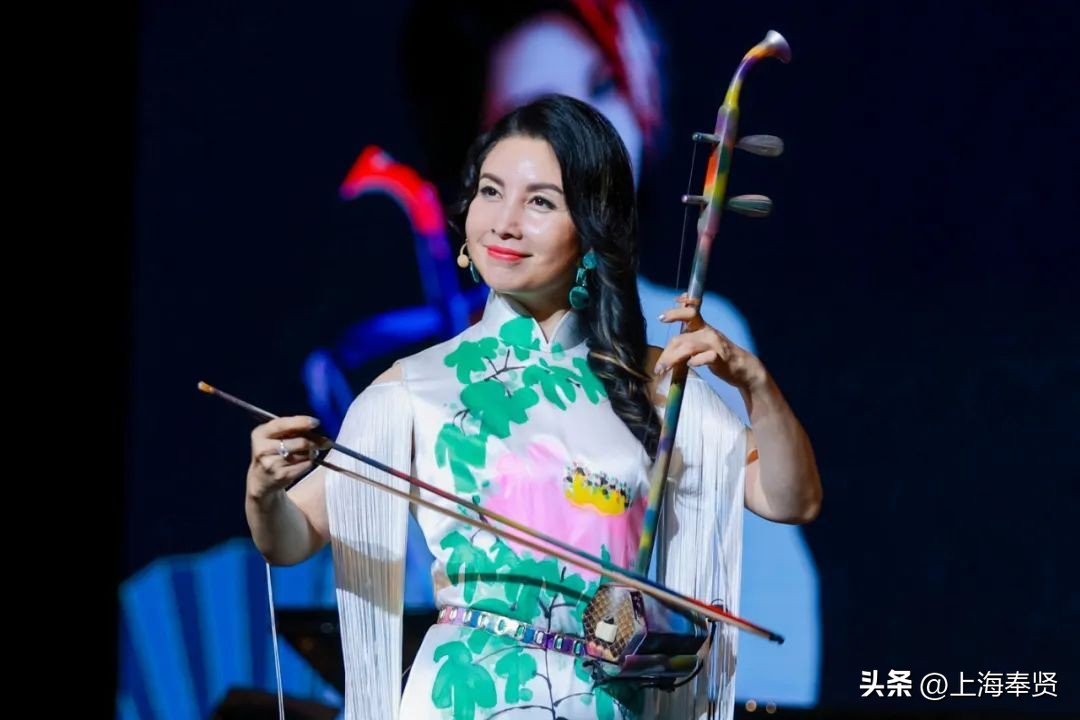 马晓辉二胡演出,马晓晖二胡独奏卧虎藏龙插曲