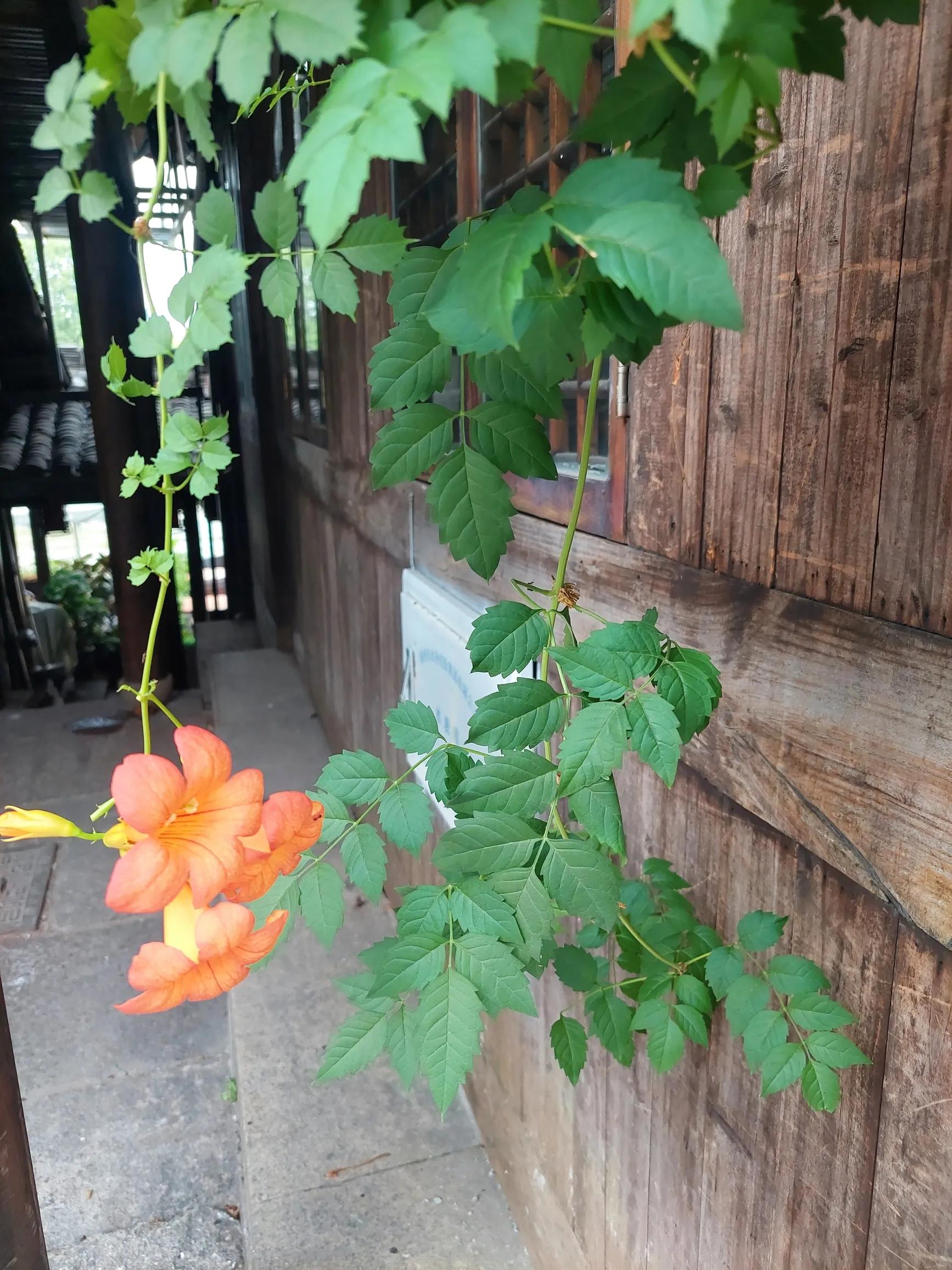 猪八戒职场生存法则,猪八戒的职场智慧