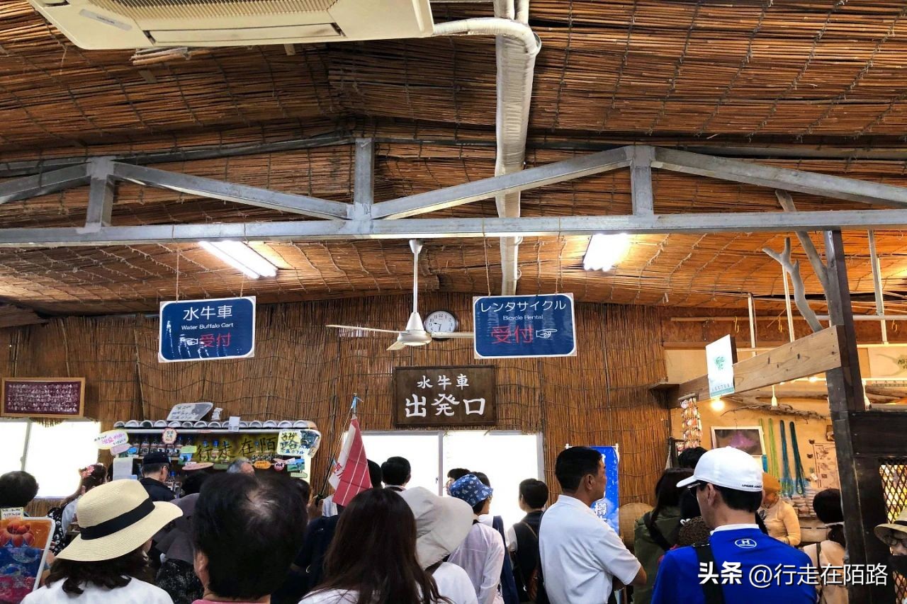 琉球竹富岛：红瓦屋顶石狮镇宅，小葱豆腐长命百岁
