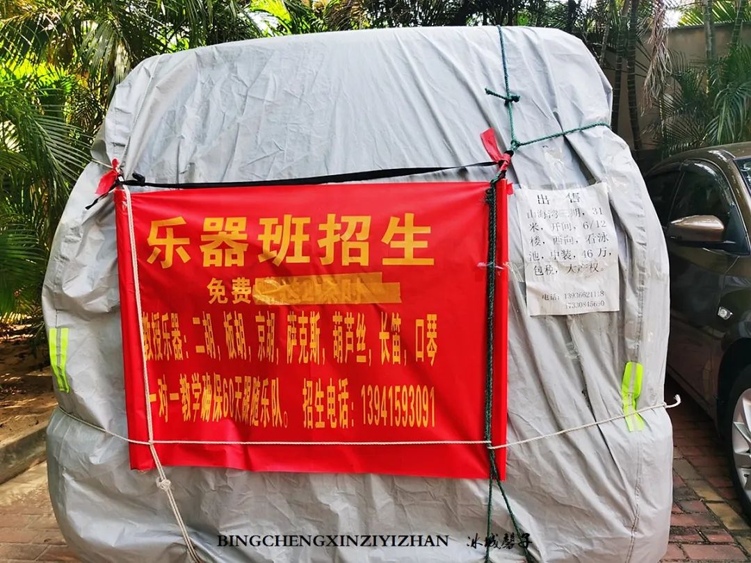 旅居海南：九所新区的浪漫情