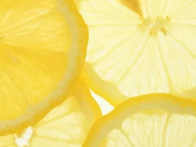 温柔清冷入骨的男主小说推荐,偏执温柔深情男主小说推荐